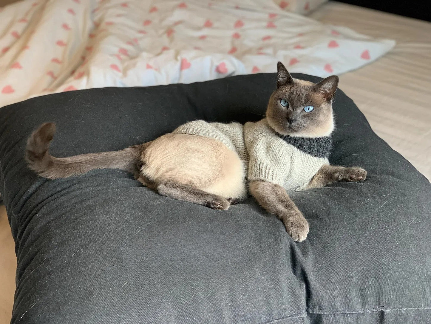 Cat or Small Dog Sweater Knitting Pattern