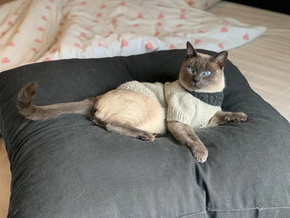 Cat or Small Dog Sweater Knitting Pattern