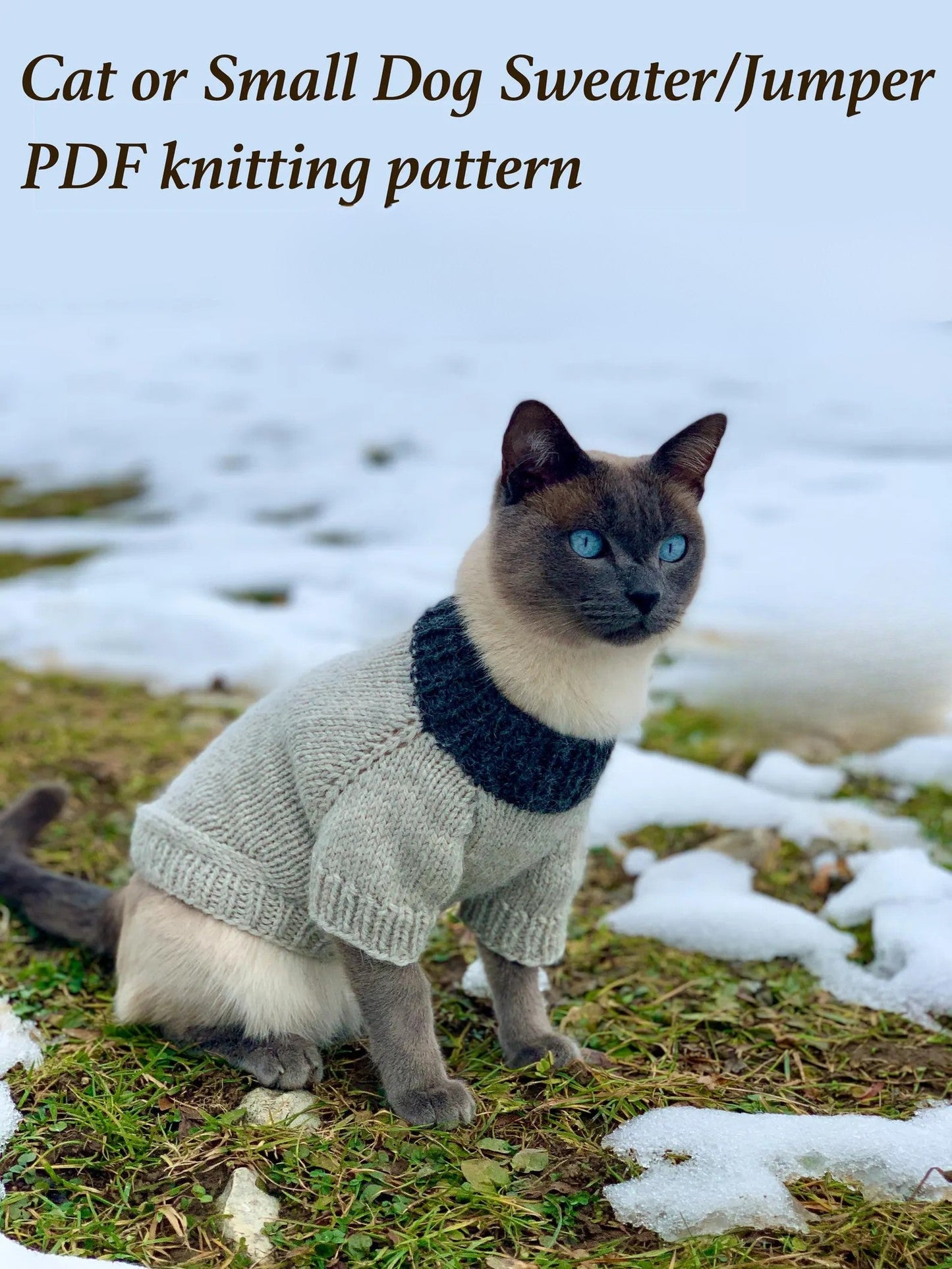 Cat or Small Dog Sweater Knitting Pattern