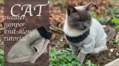 Cat or Small Dog Sweater Knitting Pattern