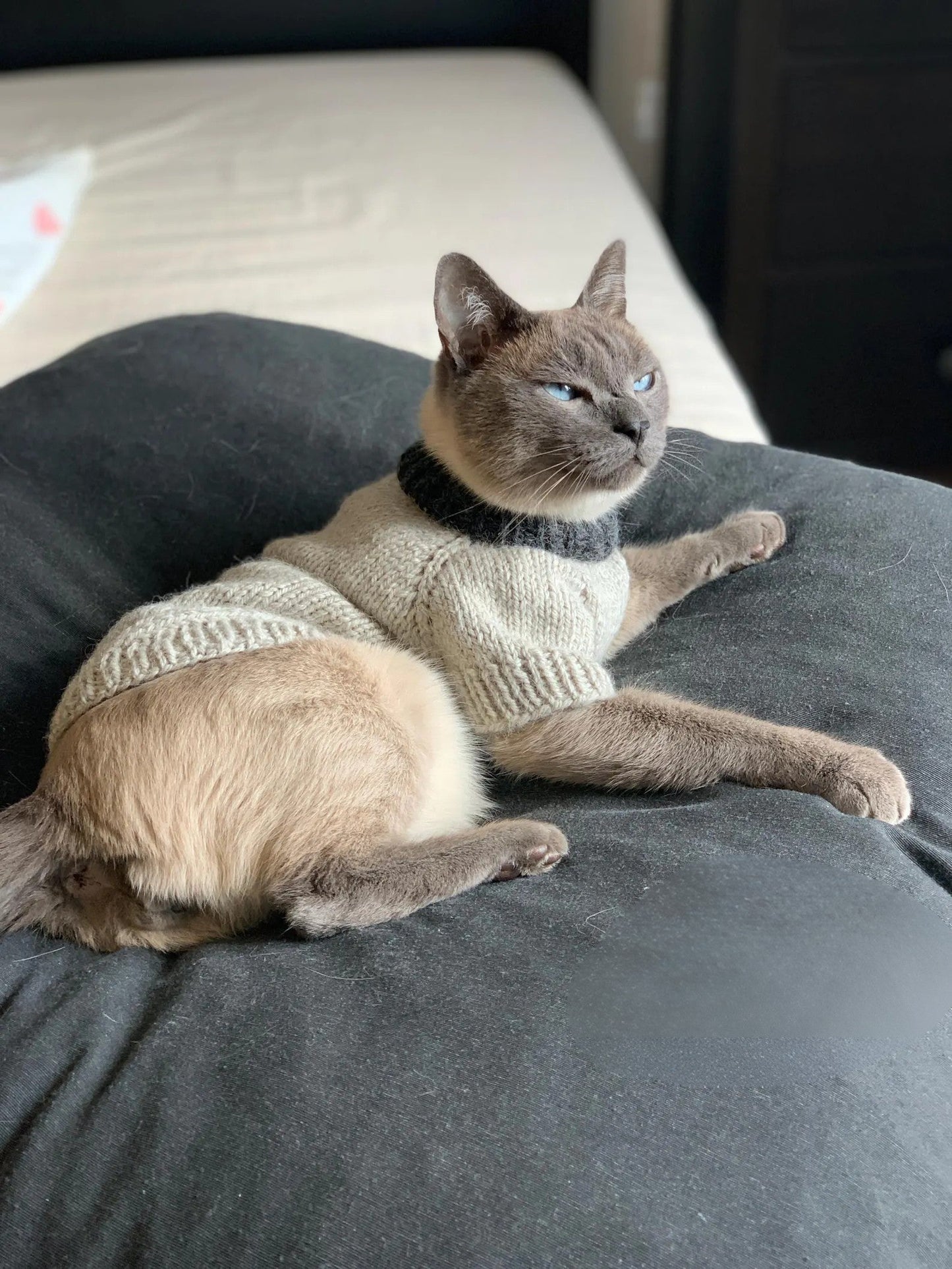 Cat or Small Dog Sweater Knitting Pattern