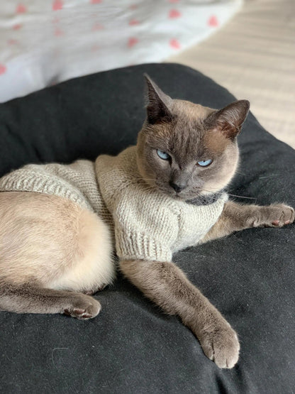 Cat or Small Dog Sweater Knitting Pattern