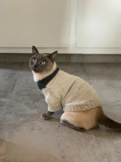 Cat or Small Dog Sweater Knitting Pattern