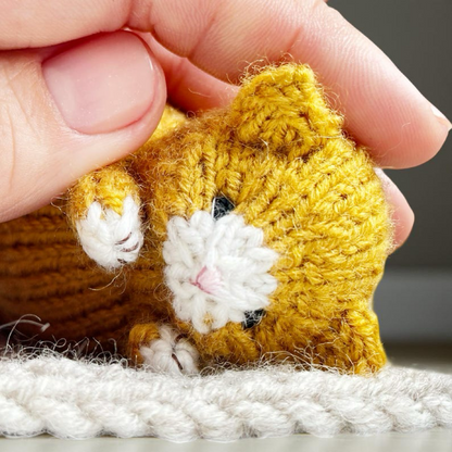 Little Kitty Knitting Pattern