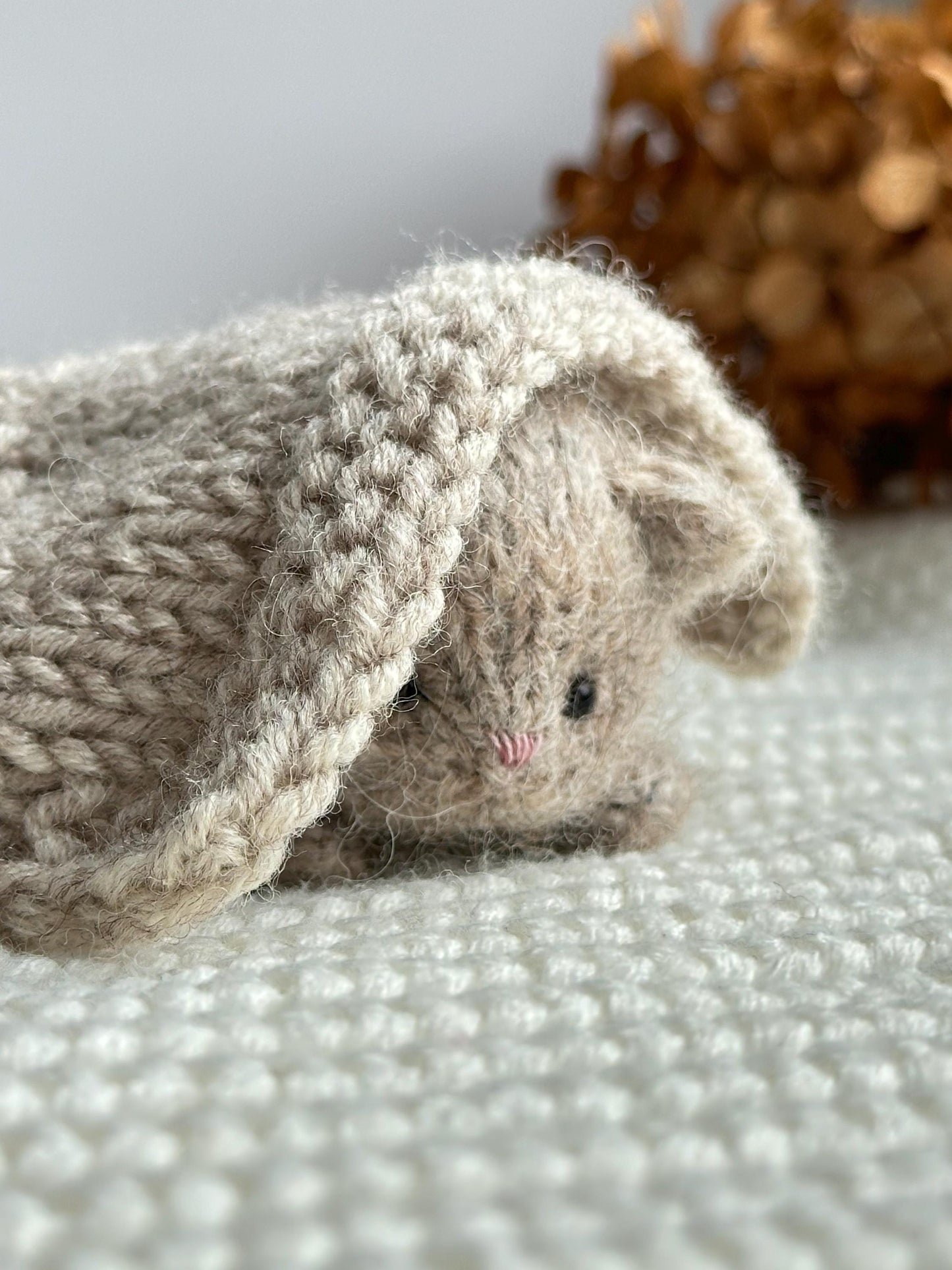 Kitty Knitting Pattern